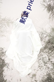 默读 priest （黄袍加身）