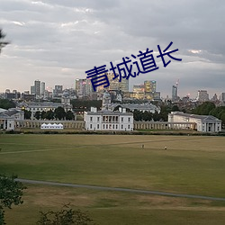 青城道(dào)长