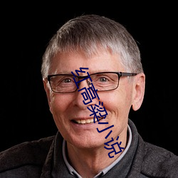 红高粱小(xiǎo)说