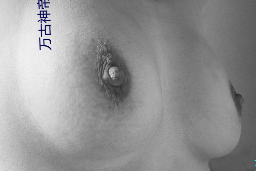 万古神帝飞天鱼起点