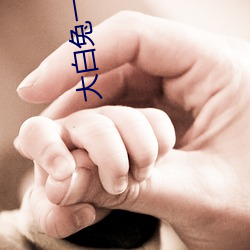 大白兔一對一聊天