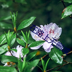 918博天堂·(中国)手机版客户端