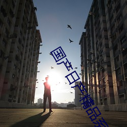 國産日産精品系列
