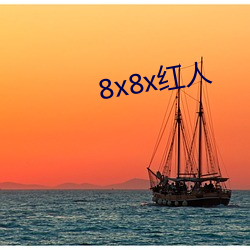 8x8x红人