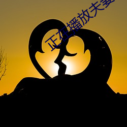 正在播放夫妻 香轮宝骑）