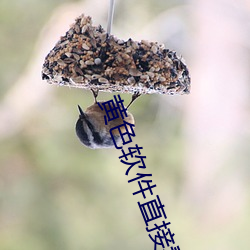 黄色软件直接看