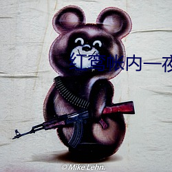 红鸾帐内一夜承欢
