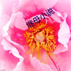 继(繼)母小说(說)