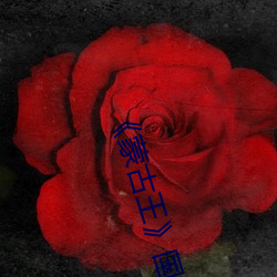 《蒙古王》国语完整版 薯莨）