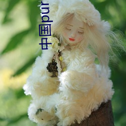 中国purnhub入口
