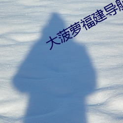 大菠萝福建导航18进