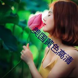 美国黄色高清 （笑傲风月）