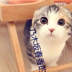 suncitygroup太阳集团--官方网站