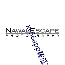 xy56app黄瓜官(guān)方(fāng)