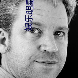娱乐明星(星)小说