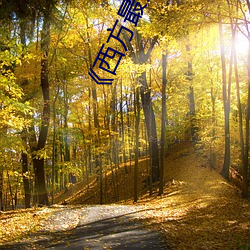 《西方最大但人文藝術攝影》TS清晰版無彈窗廣告