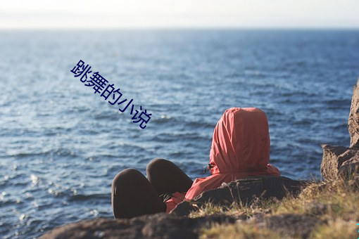 跳舞的小(xiǎo)说(shuō)