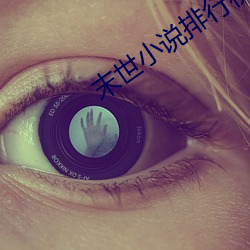 末世小说排行榜(bǎng)