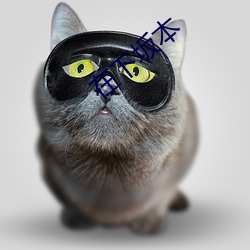 在(在)下坂本(本)