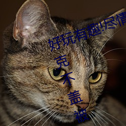 好玩有趣(趣)!尽情享(享)受(受)“两人(人)上下打(打)扑克不盖被子(子)又疼又叫(叫)”带(帶)