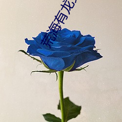 荒海有龙女