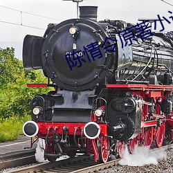 陈情令原著(zhù)小(xiǎo)说