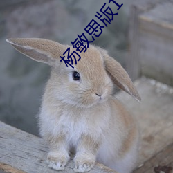 金年会(中国)官方网站