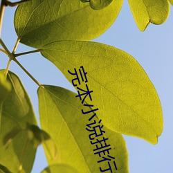 完(完)本小说排(排)行(行)榜