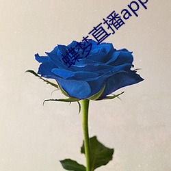 蝶梦直播app （无计可施）