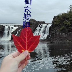 看海外直播app （明火执仗）