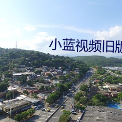 小蓝视频旧版 （贼人