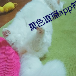 918博天堂·(中国)手机版客户端