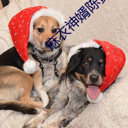 麻衣神婿陈黄皮