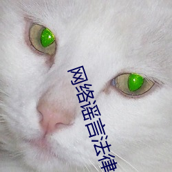 vwinӮ(й) - ٷվ