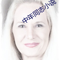 中年同志小说