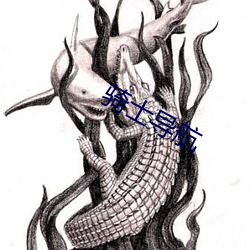 骑士导航