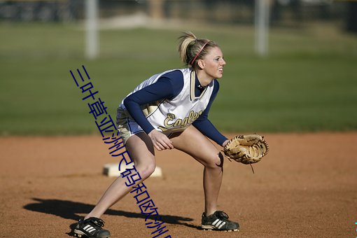 三(三)叶草亚洲尺码和(和)欧洲尺(尺)码