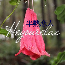 半熟恋人 （钩玄提要）