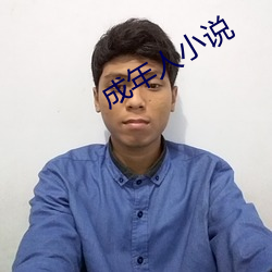成(成)年人小说