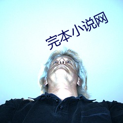 完本小說網