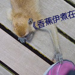 《香蕉伊煮在人線2022入口