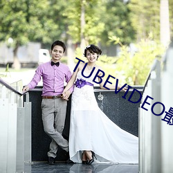 TUBEVIDEO最新上线