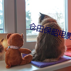 仓田保昭电(電)影