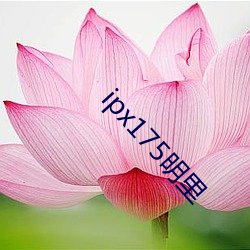 ipx175明里