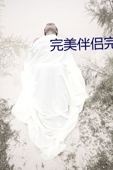 完善伴(bàn)侣(lǚ)完整版(bǎn)免费(fèi)寓目