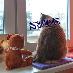首都影院