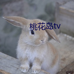 桃花岛tv