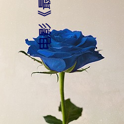 电影《最爽的一(yī)天》