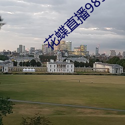 花蝶直播985tv