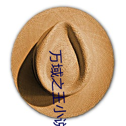 万域之王小说 （白骨精）